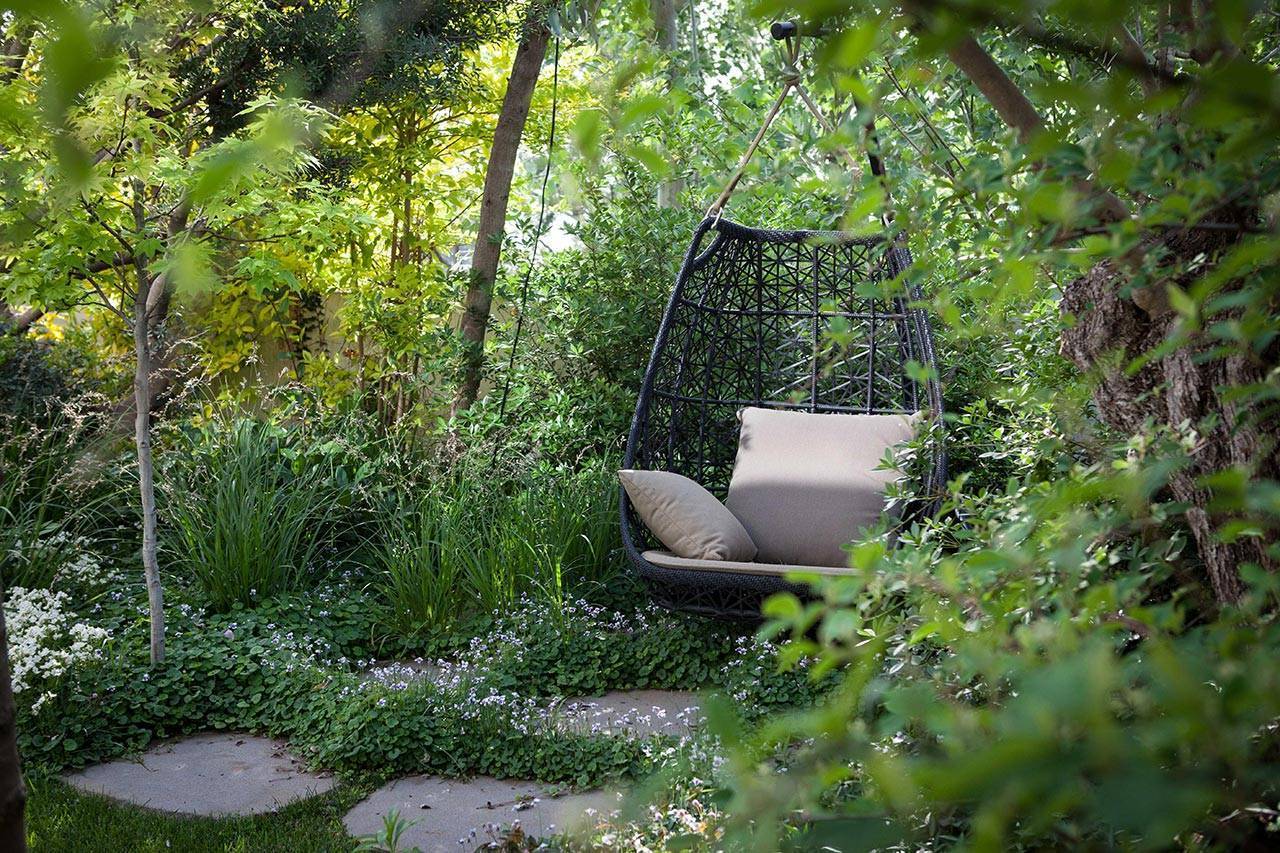 פנינה חיות, סטודיו רותם | יוצרים נוף