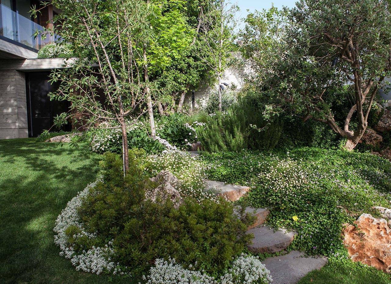 פנינה חיות, סטודיו רותם | יוצרים נוף