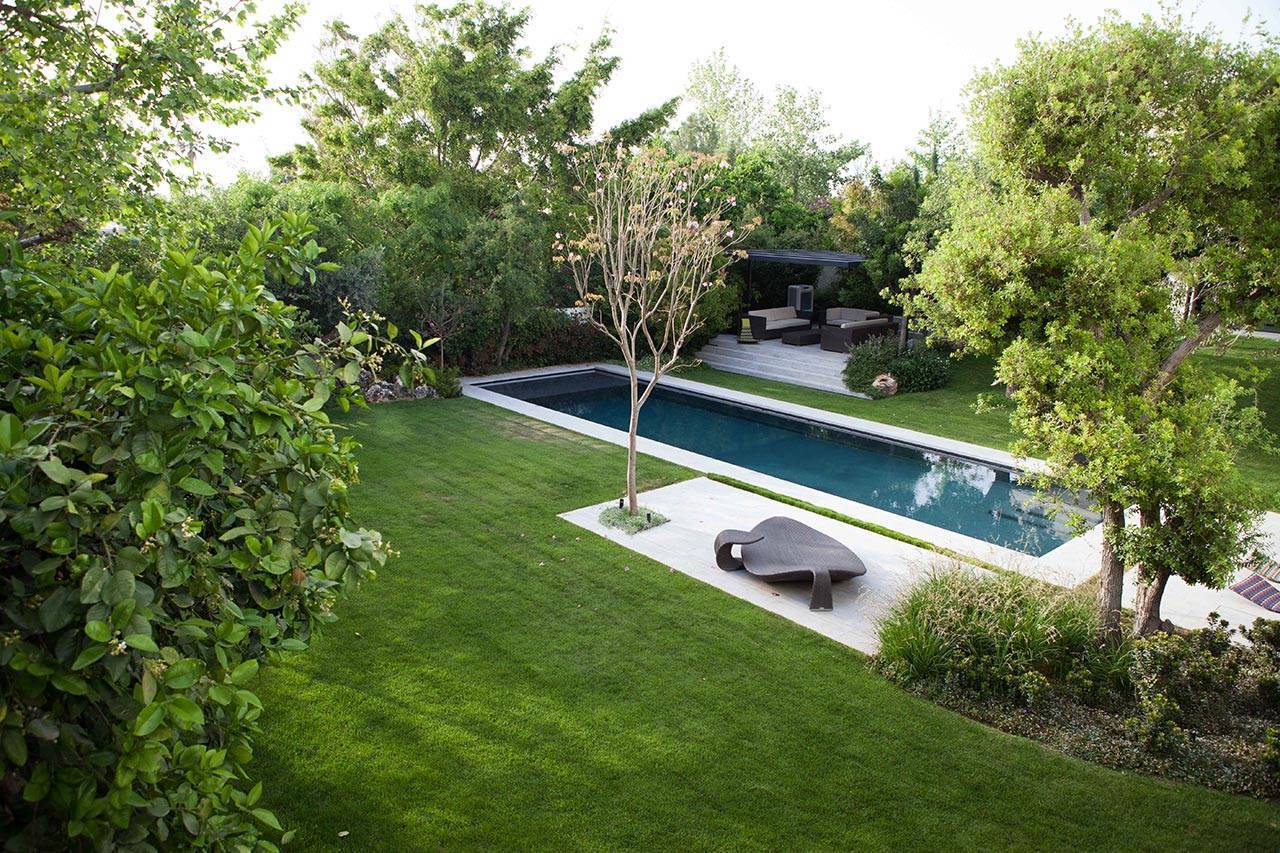 פנינה חיות, סטודיו רותם | יוצרים נוף