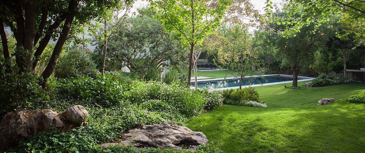 פנינה חיות, סטודיו רותם | יוצרים נוף