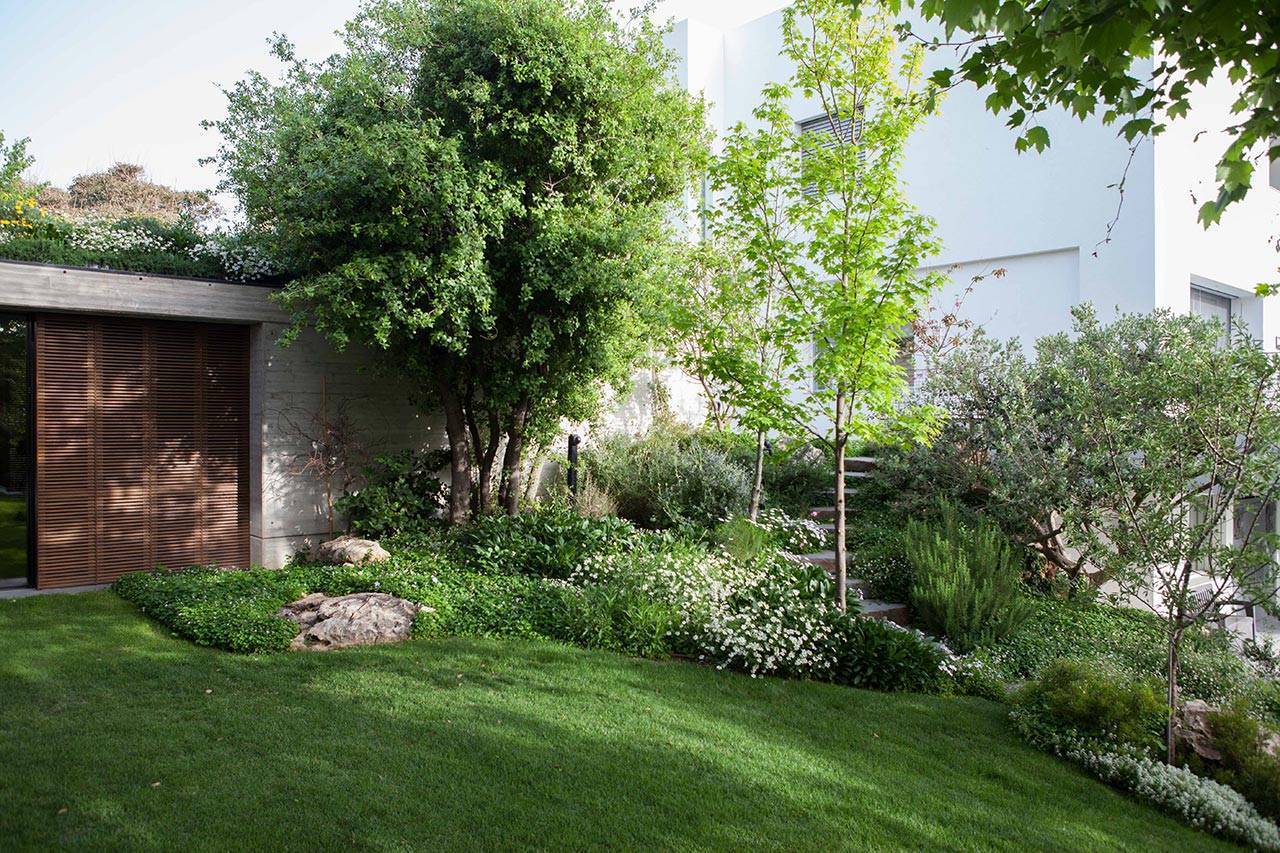 פנינה חיות, סטודיו רותם | יוצרים נוף