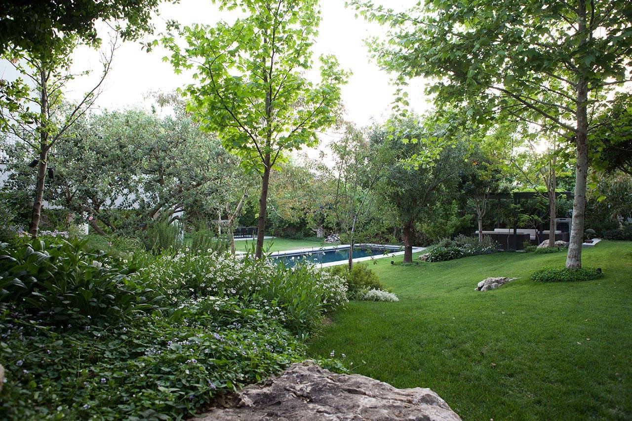 פנינה חיות, סטודיו רותם | יוצרים נוף