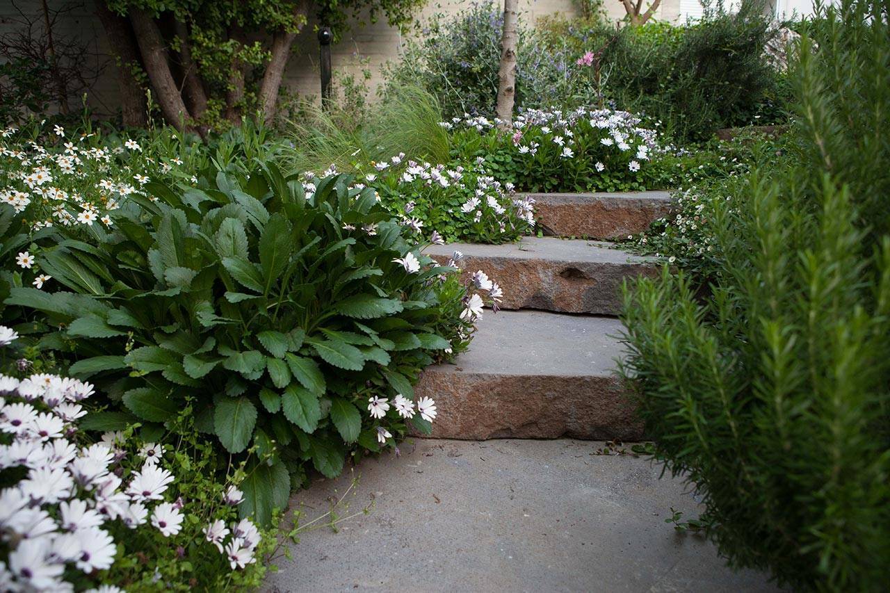 פנינה חיות, סטודיו רותם | יוצרים נוף