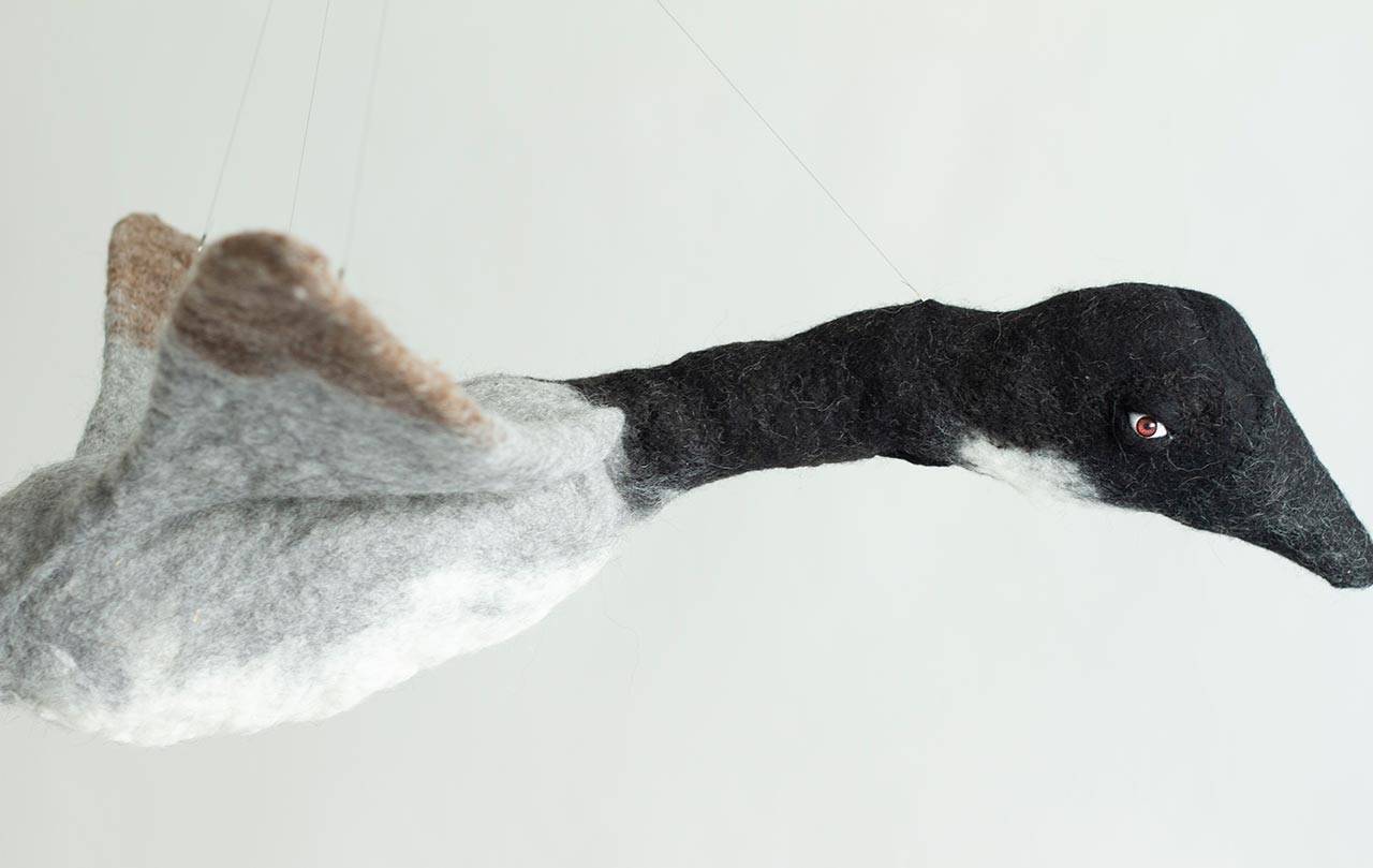 פריטי הלבד של ריקי אלקיים