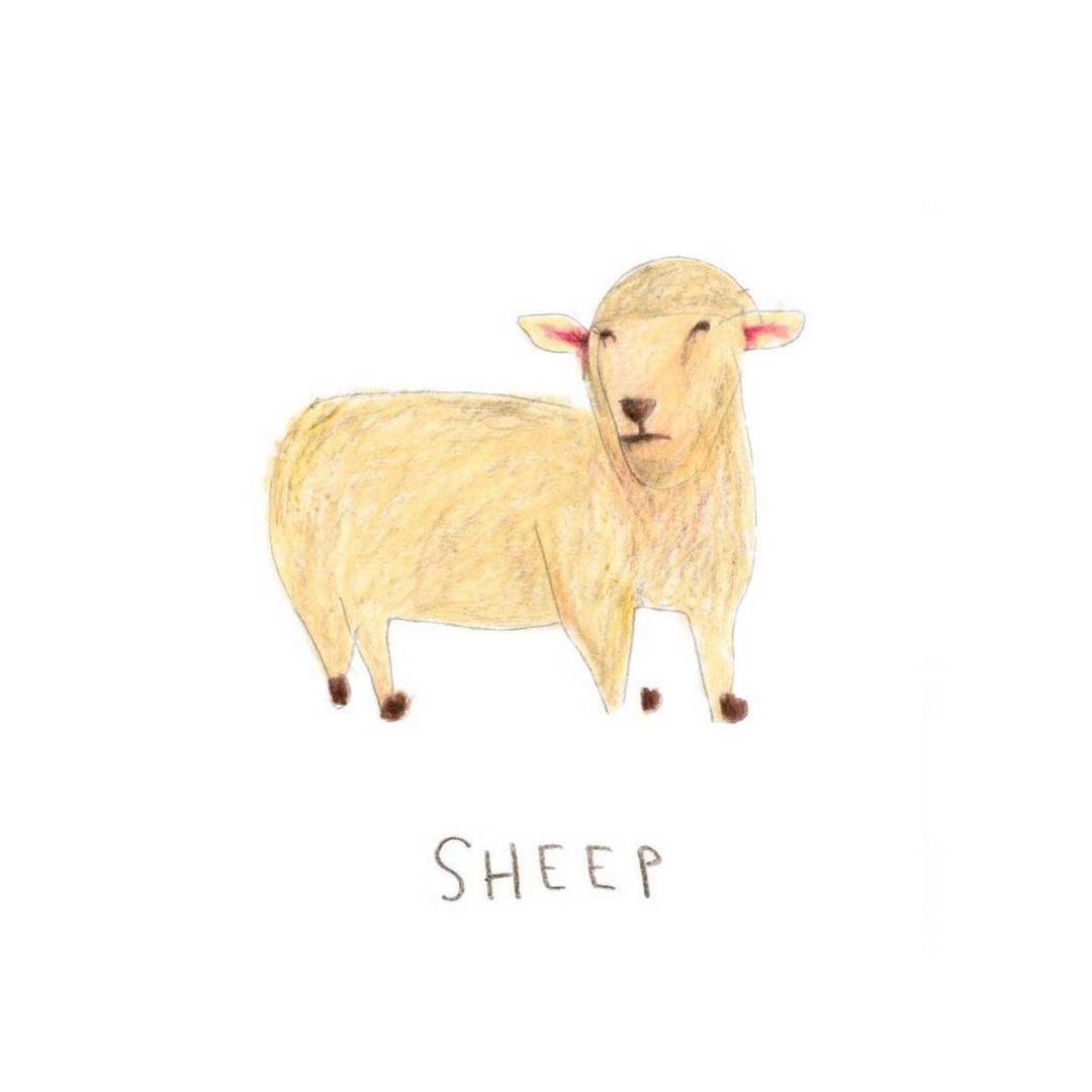 גל שריר, Last Seen