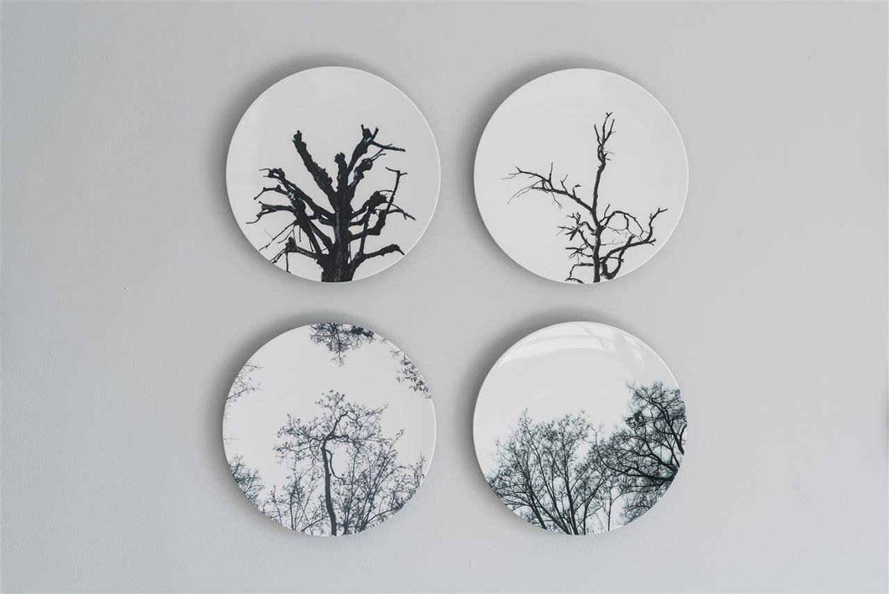 להב הלוי, צלחות ריקות בבית בנימיני