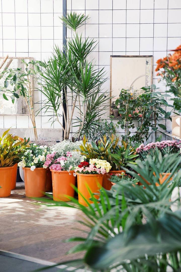 החנות של SOON