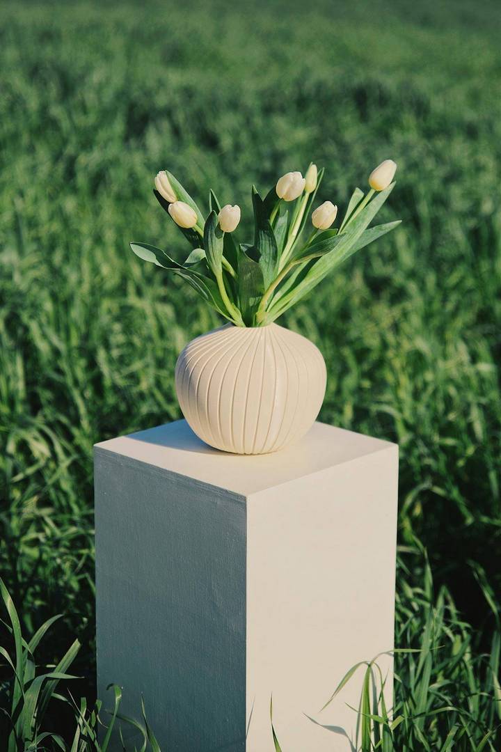 דן סרוסי ל־SOON