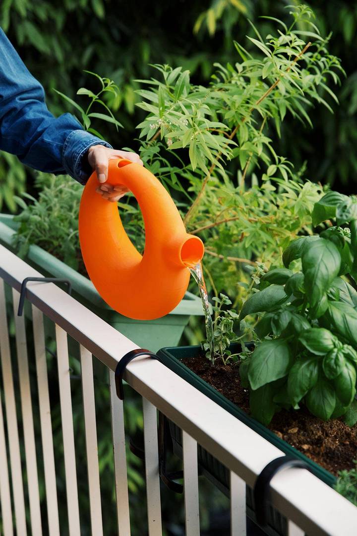 דן סרוסי ל־SOON