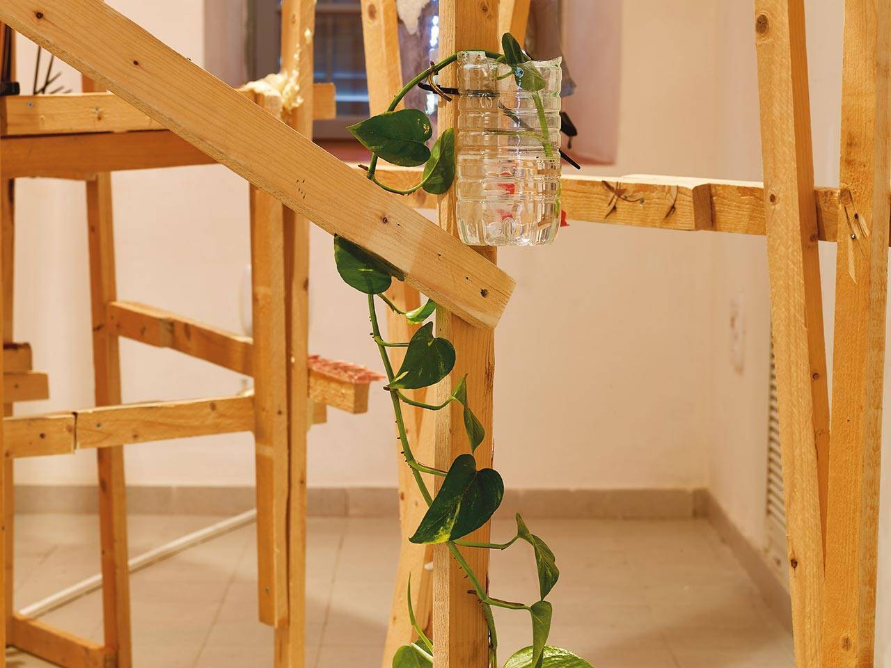 דניאל פלדהקר, והחלומות עשירים בצבעים