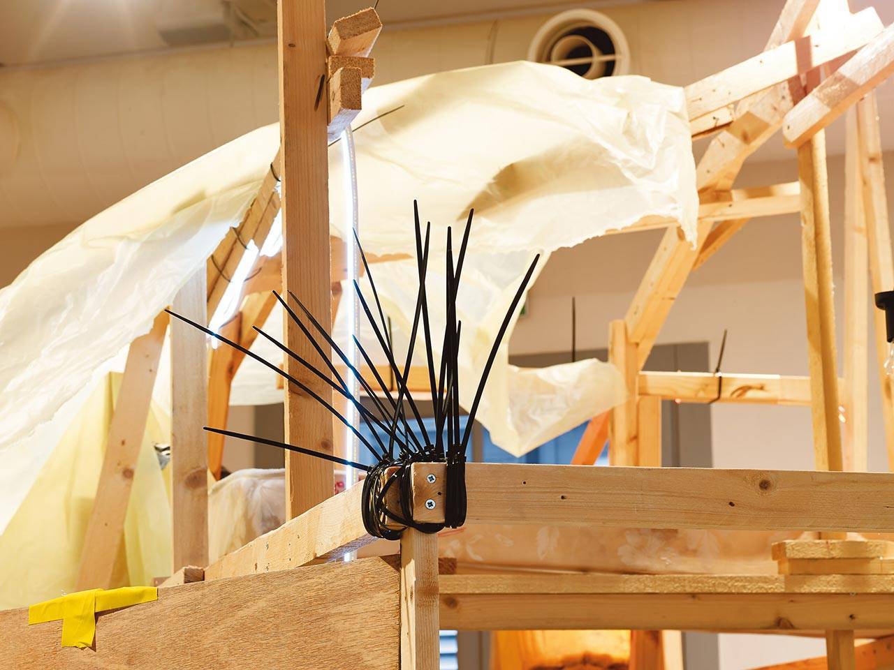 דניאל פלדהקר, והחלומות עשירים בצבעים