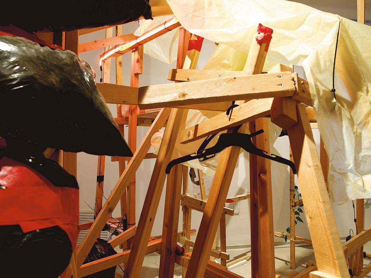 דניאל פלדהקר, והחלומות עשירים בצבעים