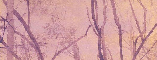 גלעד אפרת, ללא כותרת ווו