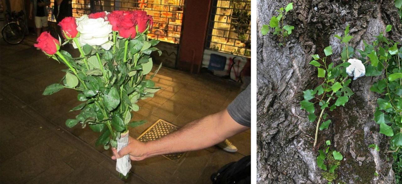 ורדים, צילום: עומר פולק