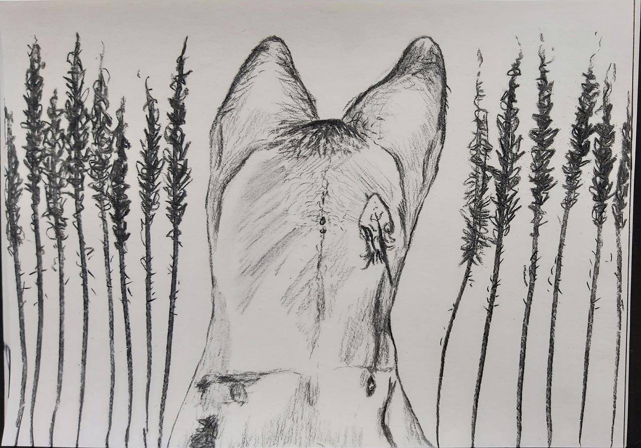 לירוי בר נתן, בראשית היה שחור