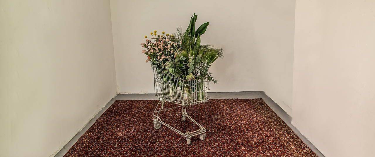 סתיו פורגס, מה שצריך