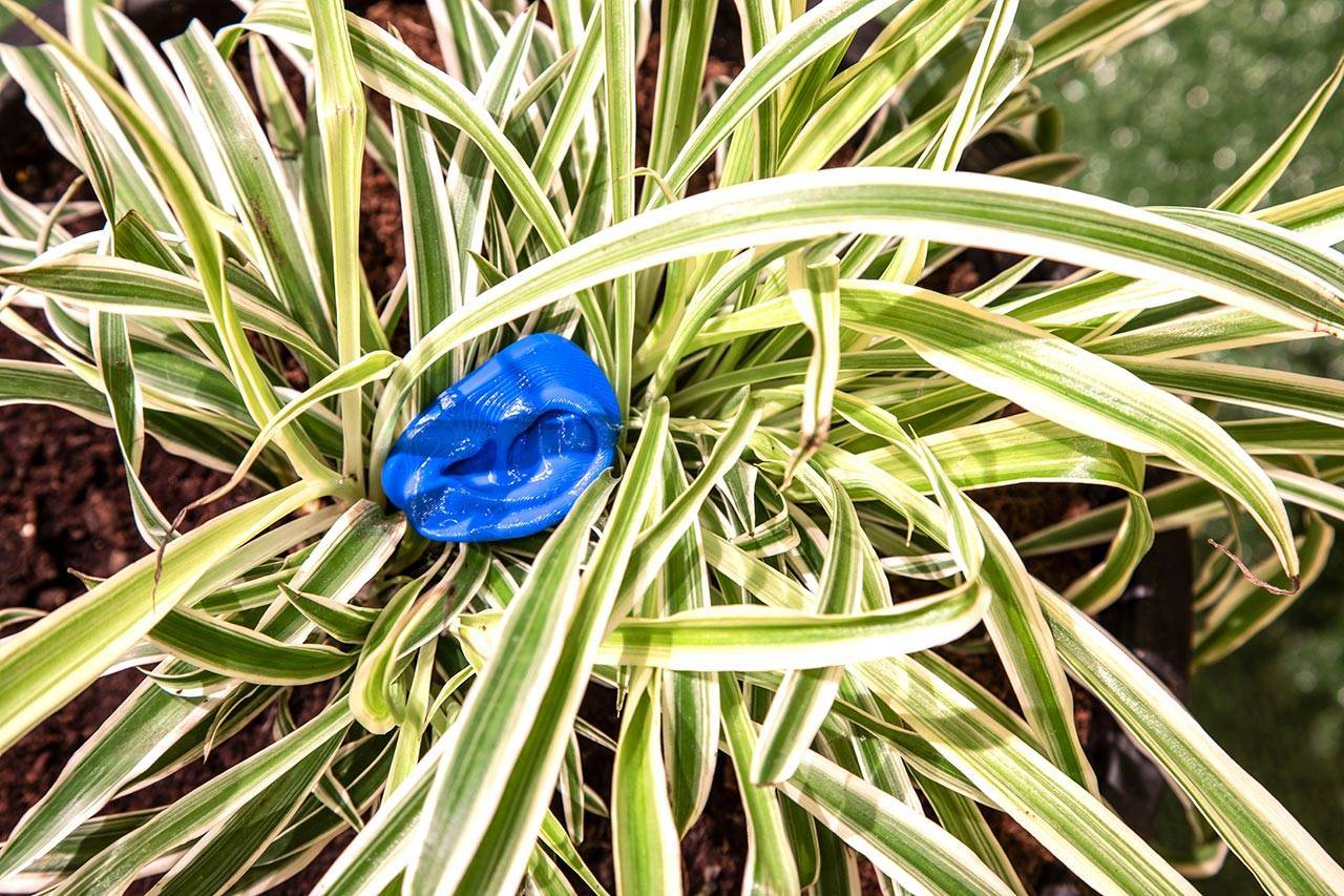 סתיו פורגס, מה שצריך