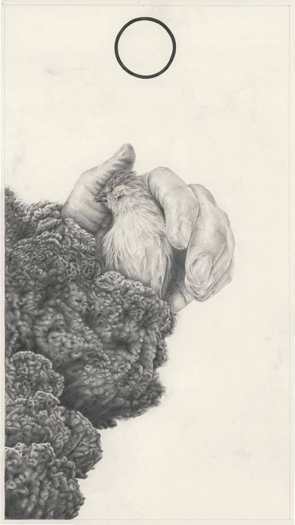 מאיה אטון, הרים סולאריים ולבבות שבורים