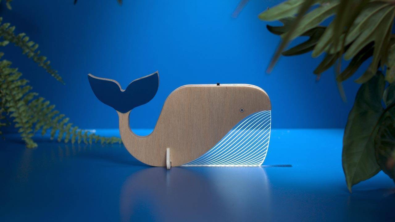 קולקציית Wild BULBING