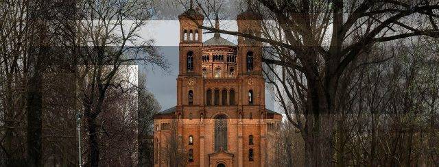 איתן ויטקון