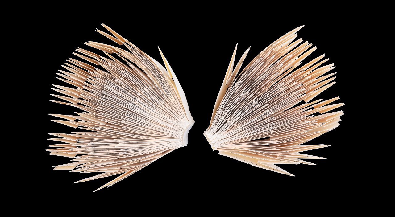 כרמל אילן. צילומים: אורי שדה, סטודיו Editions HC