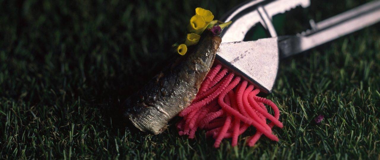 מאי טולומק. צילומים: מ"ל