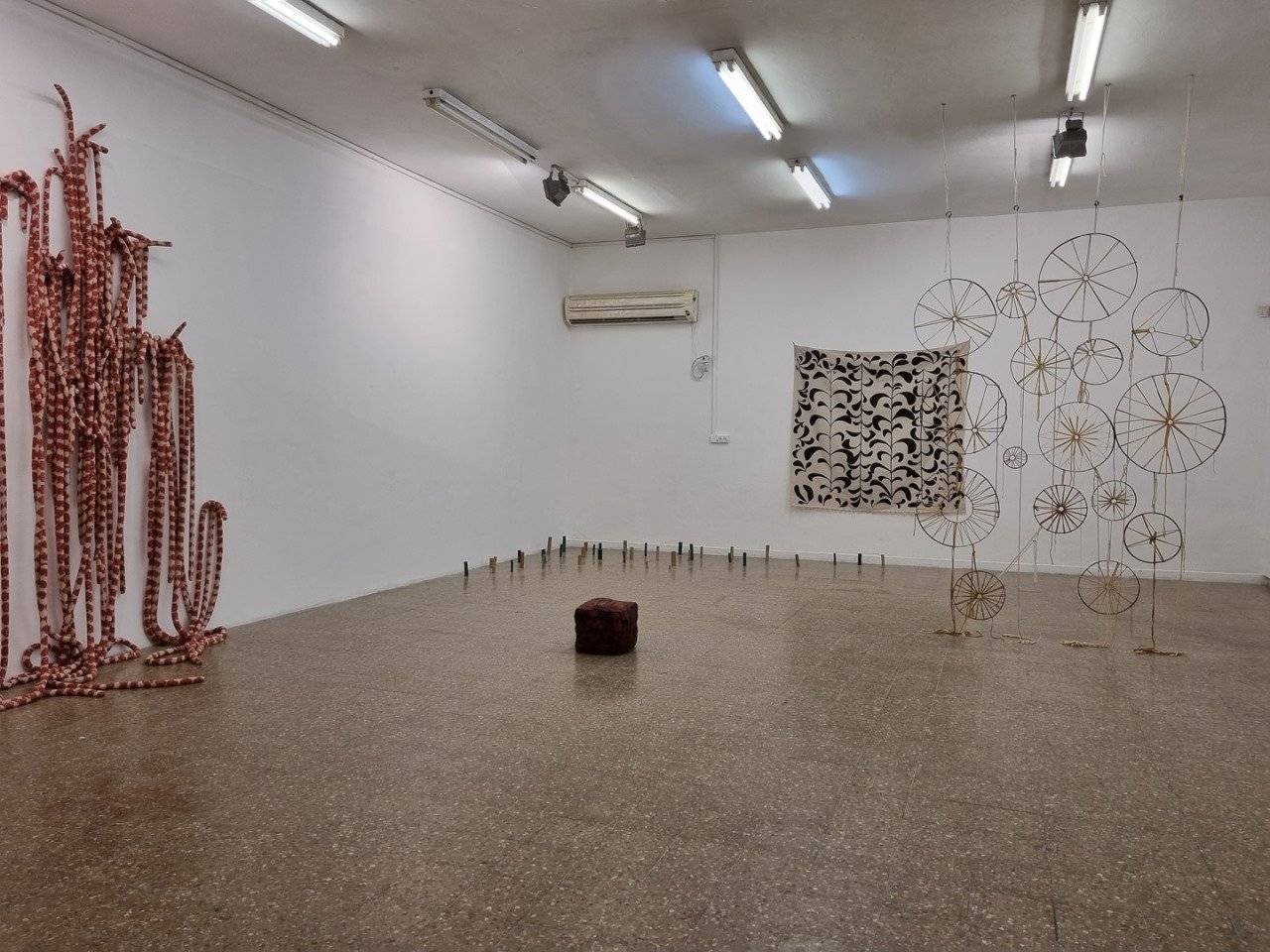 סנדרה גבריאל אורס. צילומים: ענבל כהן חמו