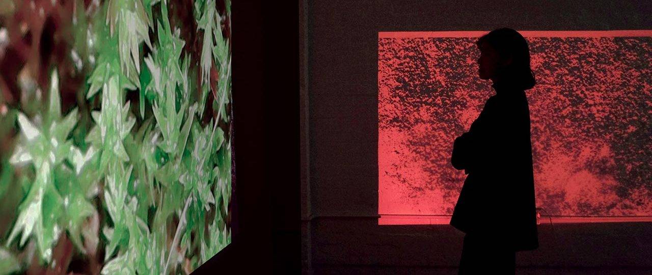 נירית בנימיני בן־מאיר, Destabilized Common Grounds. צילומים: מ״ל