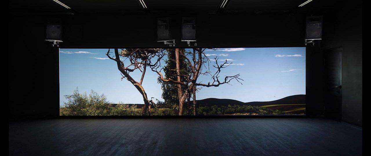 אמיר יציב, Non Player Charachter. מתוך נון פיניטו בארטפורט