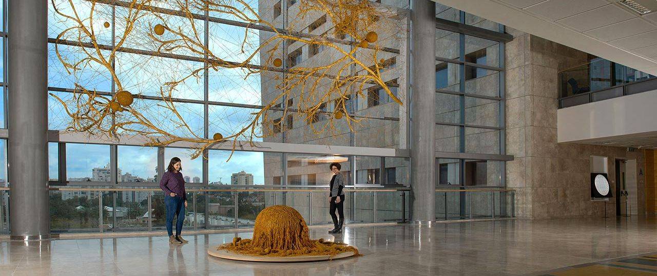 ורדי בוברוב, מותחת גבולות. צילומים: מיכאל עמר