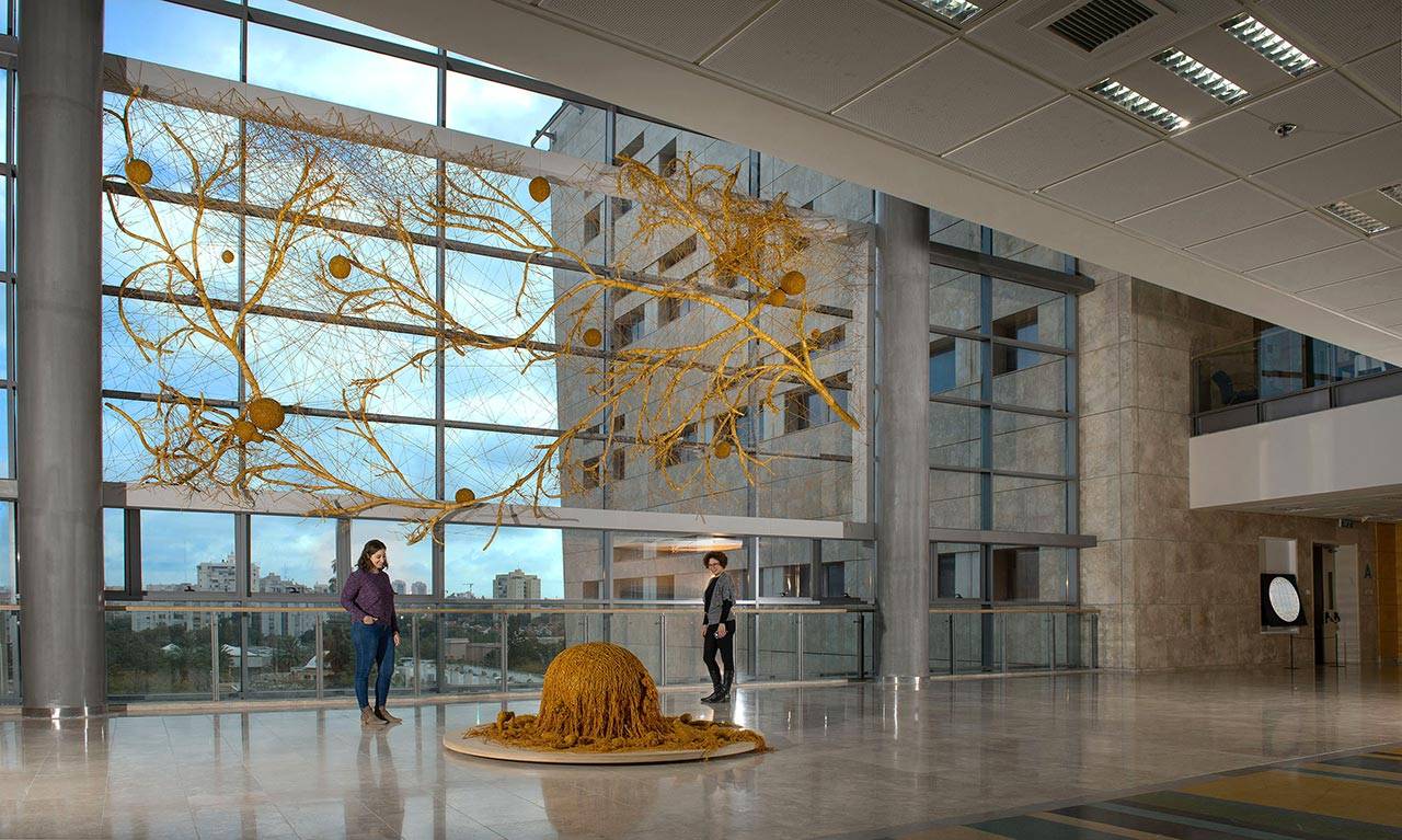 ורדי בוברוב, מותחת גבולות. צילומים: מיכאל עמר