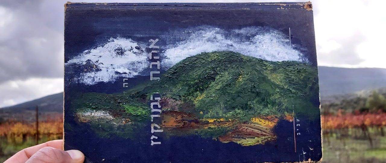 דנה מנור כהן