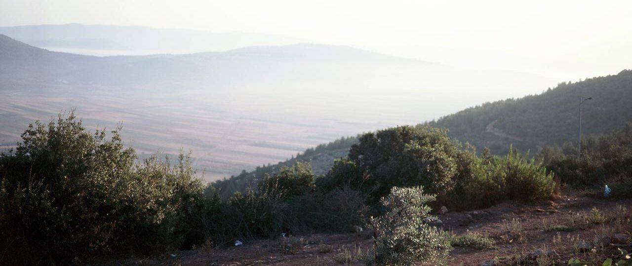 נגה גרינברג, רוקע הארץ