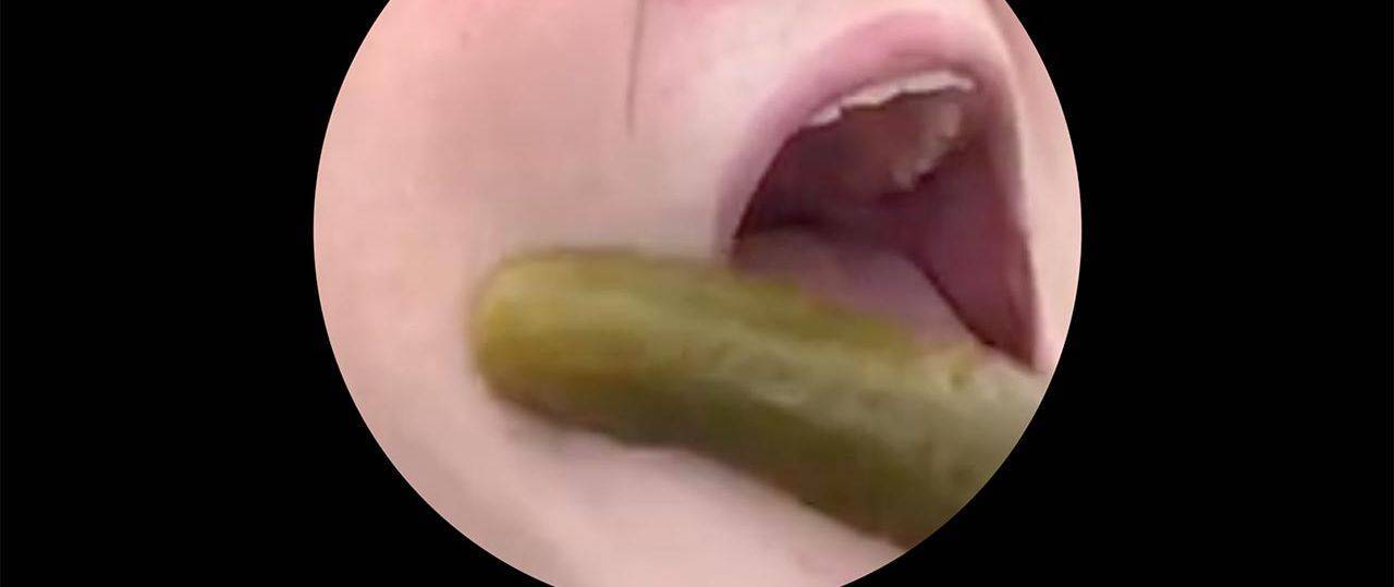 רונה דויד, All This Fuss Over a Jar of Pickles?
