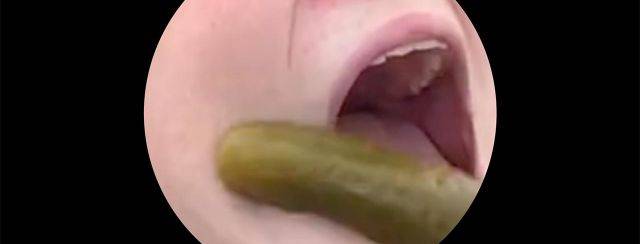 רונה דויד, All This Fuss Over a Jar of Pickles?