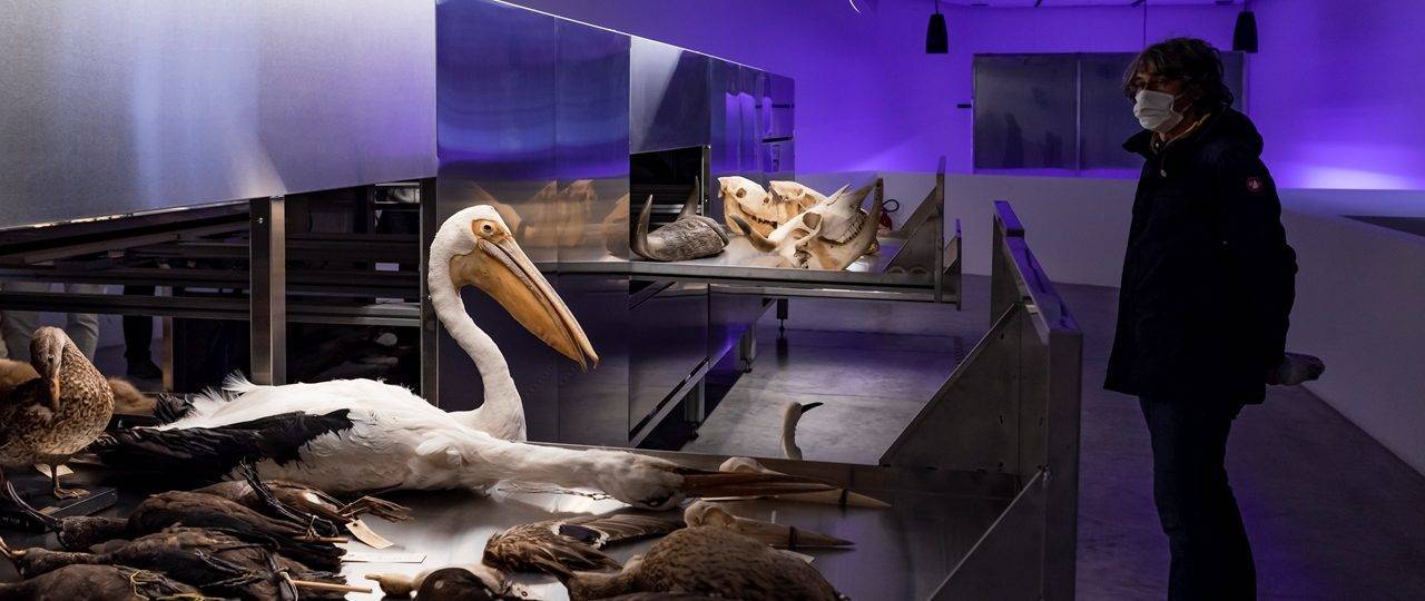 הביתן הישראלי בביאנלה בונציה. צילומים: מתאו לוסורדו