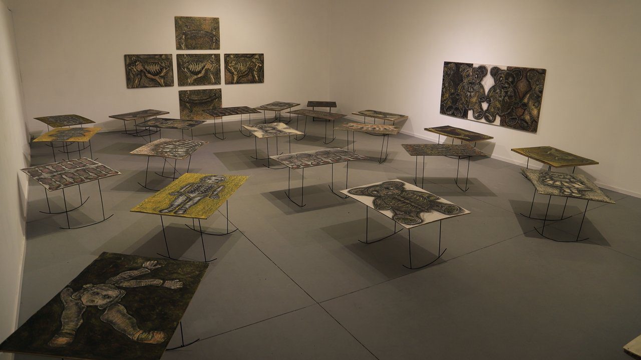 צילום: נועם זיו