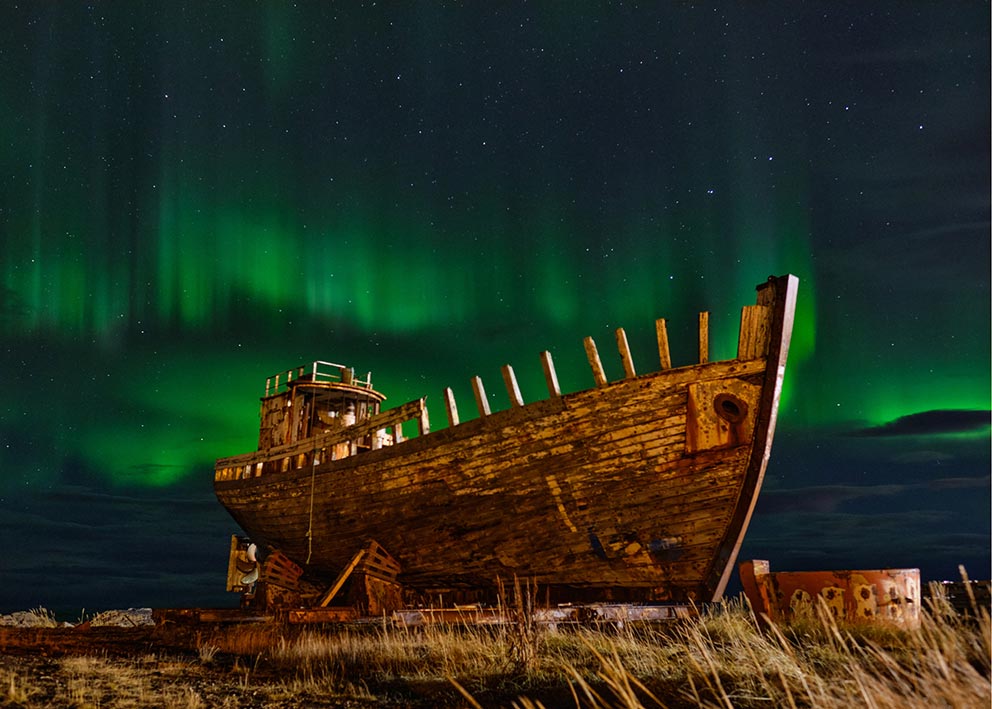 אביטל הרשקוביץ