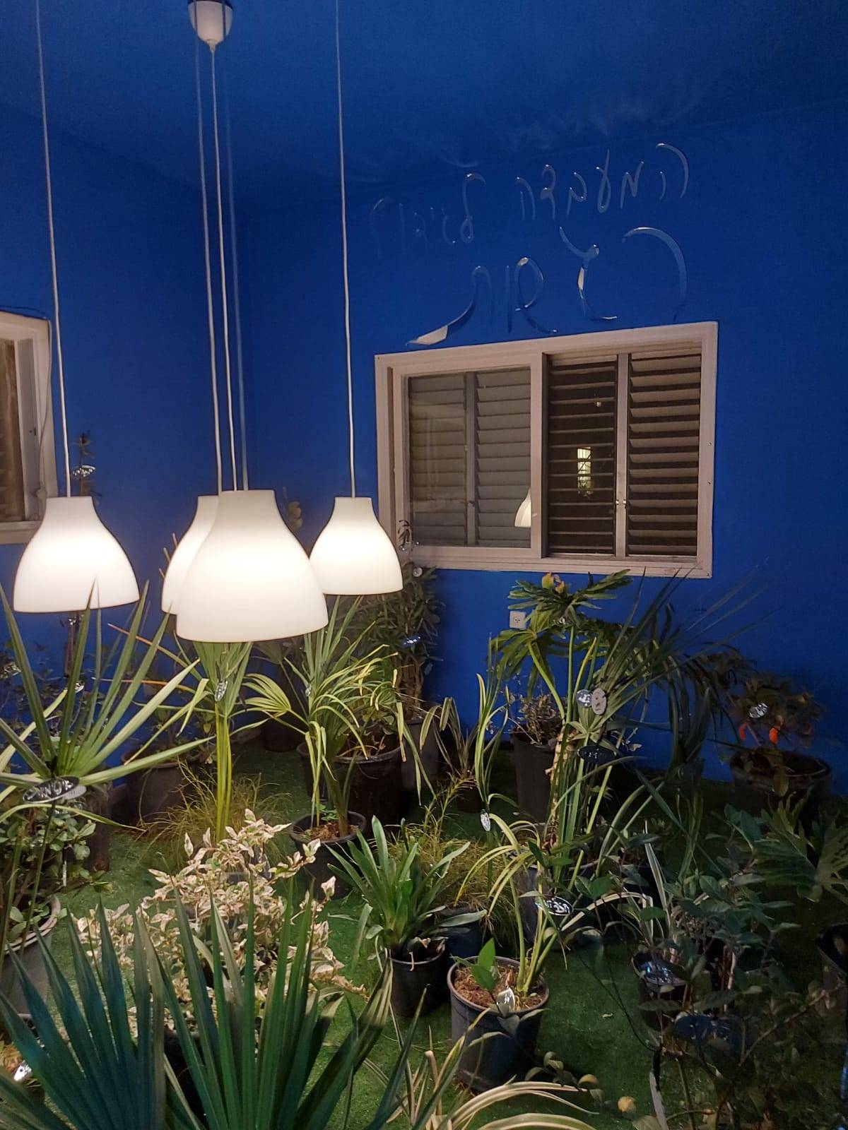 בוטיק שווארמה