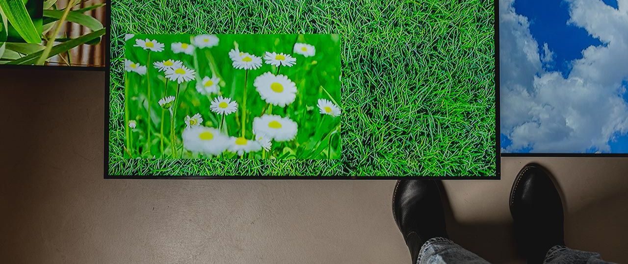 עומר פולק, פיקניק על מאדים. צילומים: אריאל עפרון