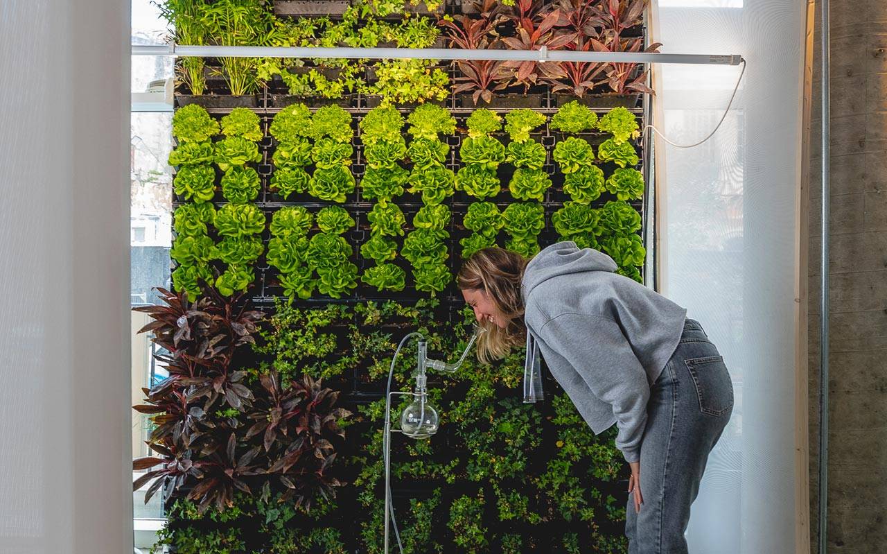 עומר פולק, פיקניק על מאדים. צילומים: אריאל עפרון