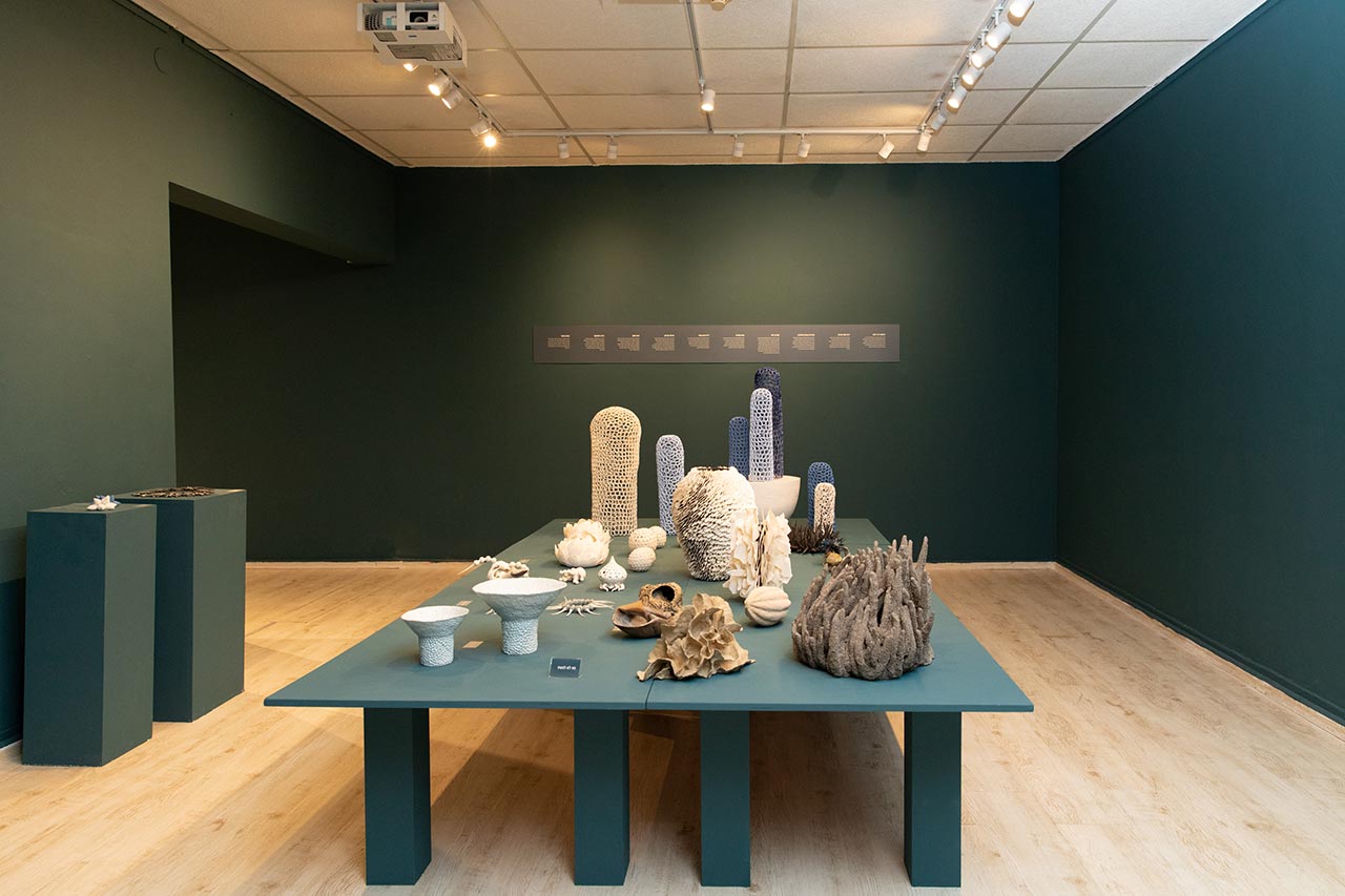 אקווה מרינה. צילומים: מיכל סלע