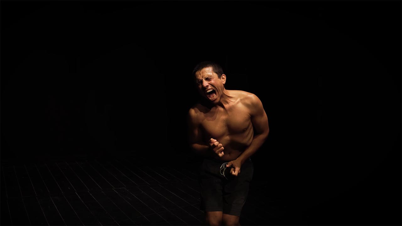 צילומים: דניאל פייקס