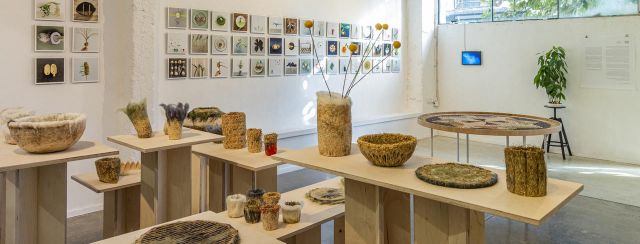 שרון מורו, שמחת עניים. צילום: אריאל מדינה