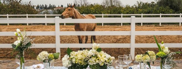 The Table Fairy. צילום: מארק צו