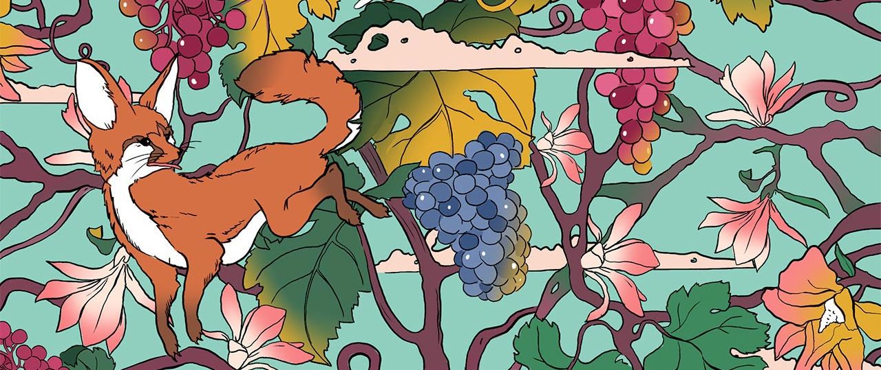 יוסי מדר, סטודיו 507 - אריזות ל־Greenmed