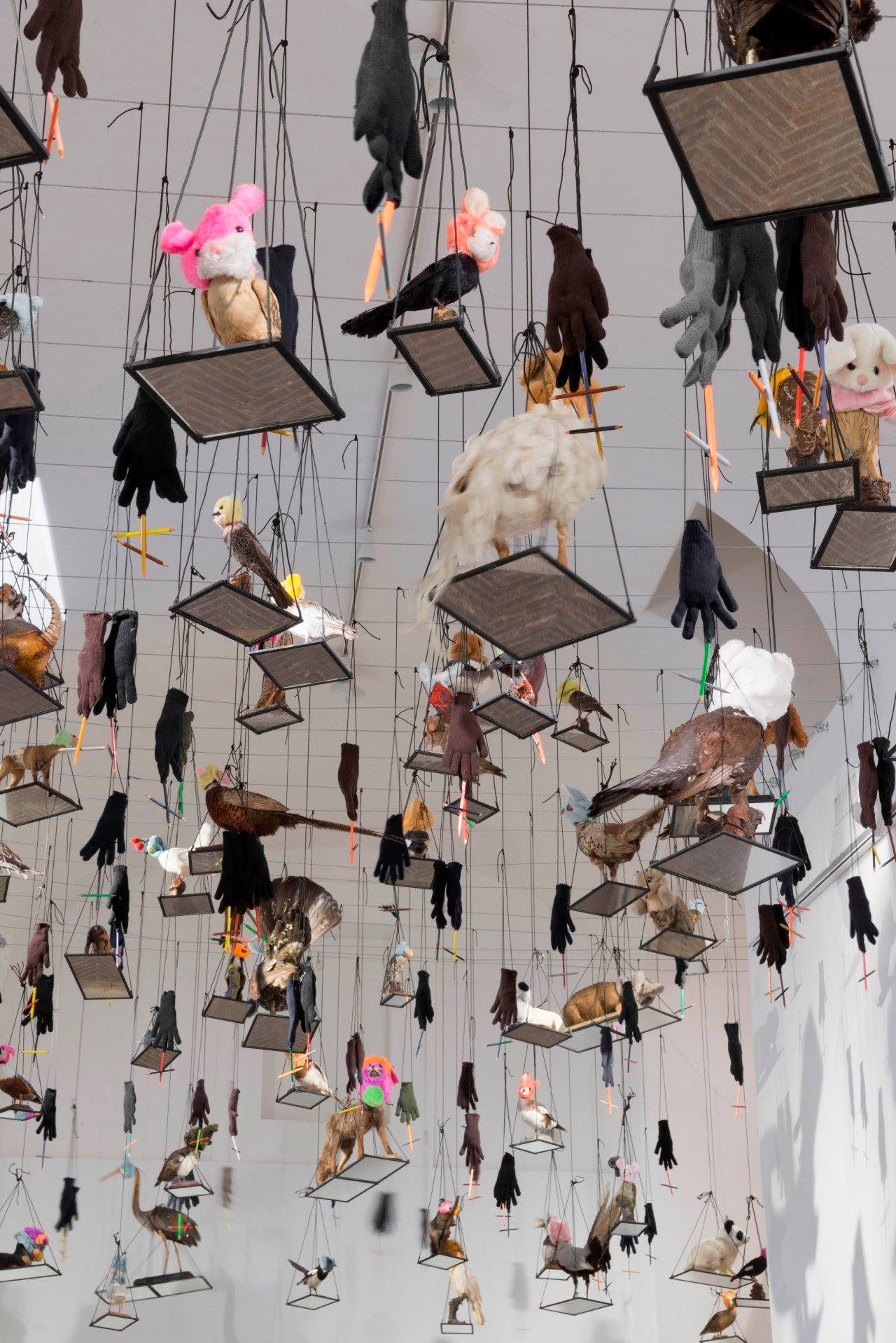 צילום: סטודיו אנט מסאז’ה