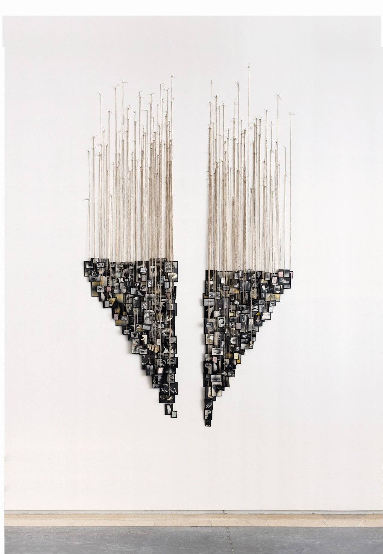 צילום: אלעד שריג