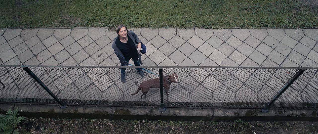 פאבל לוז׳ינסקי, סרט מרפסת