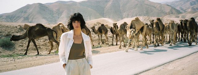 רונן חן, אביב/קיץ 2022. צילום: דודי חסון